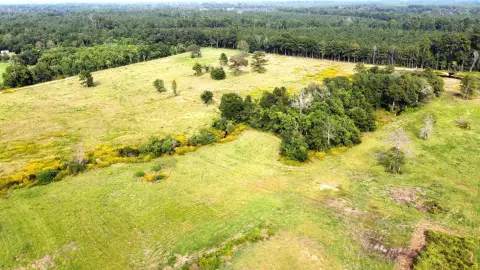 Kirbyville Land with Pasture & Woods