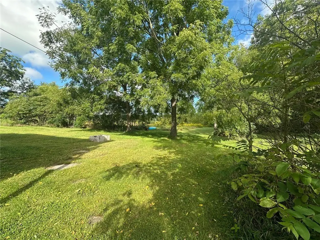 Picture 16