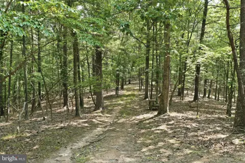 Unrestricted Mountain Recreational Land