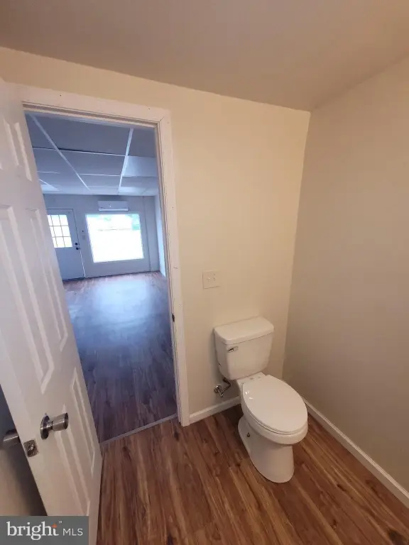 Picture 5