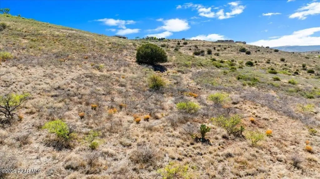 Picture 30