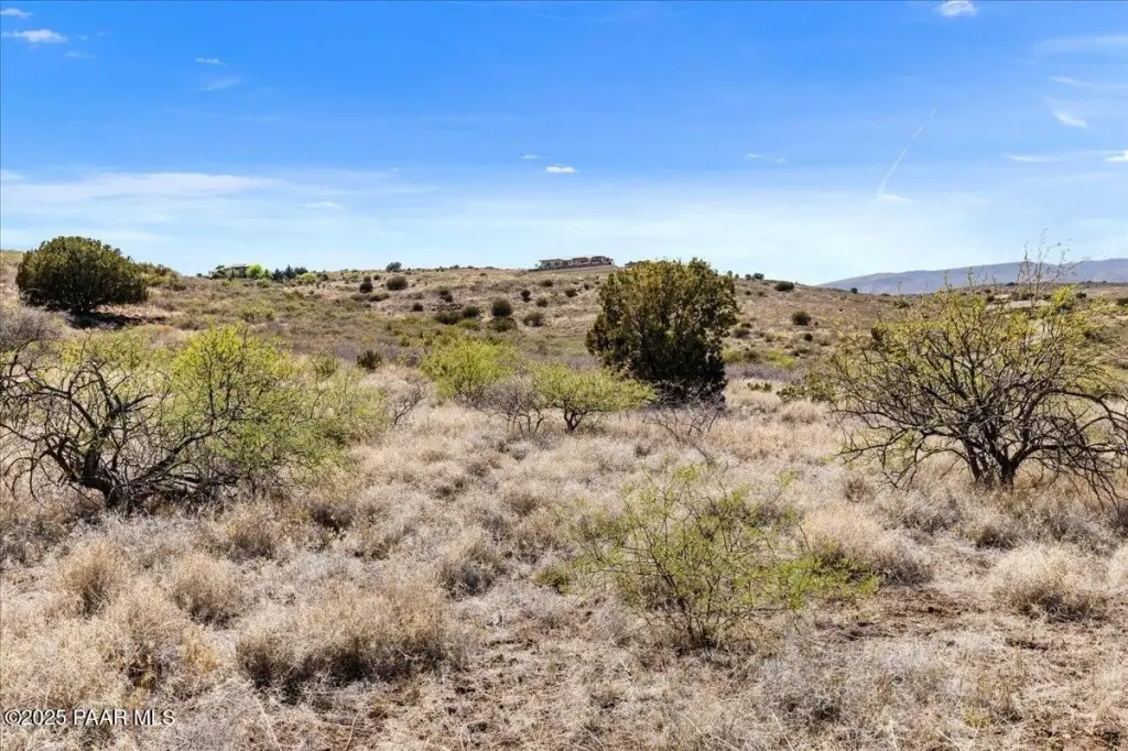 Picture 18