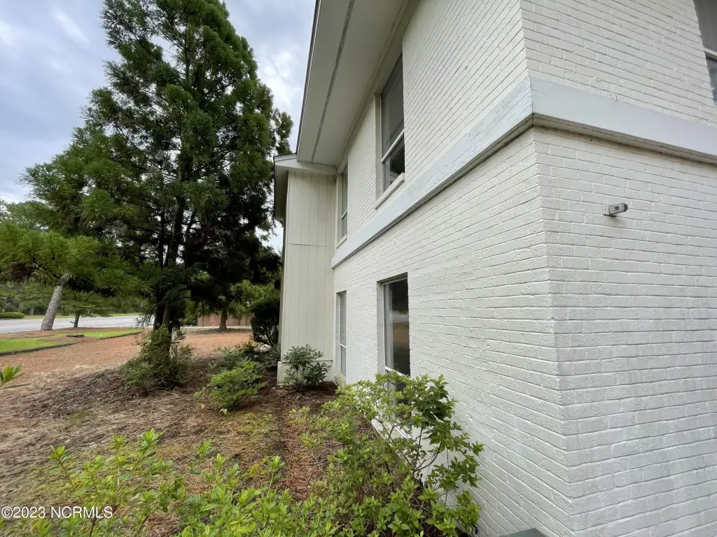 Picture 13