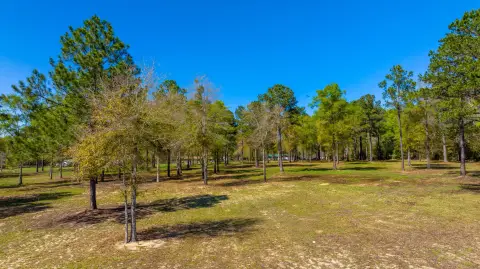 20 Acres in Paxton, Florida