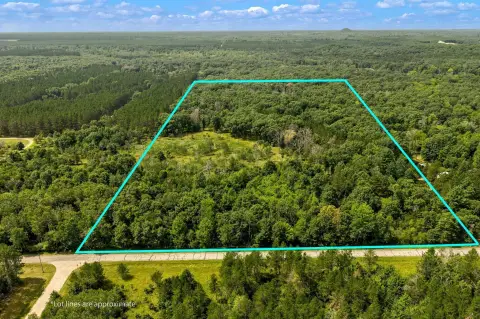 Wooded Hunting Land