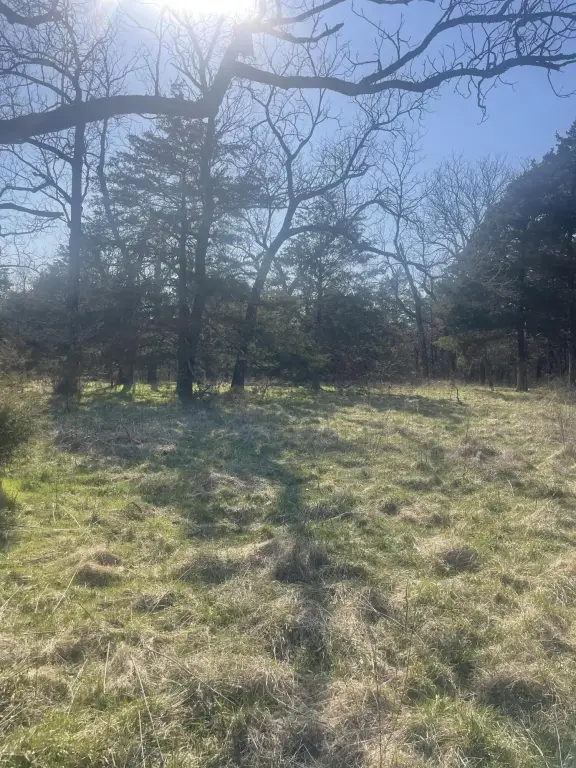 Picture 23