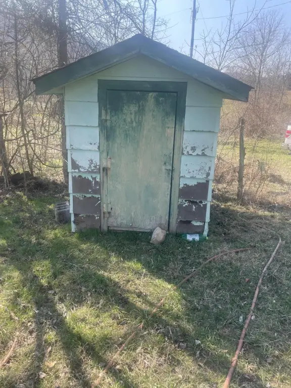 Picture 16