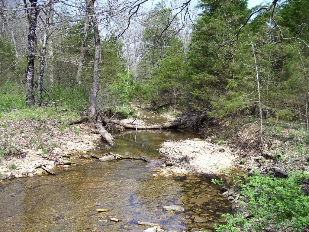 Picture 3