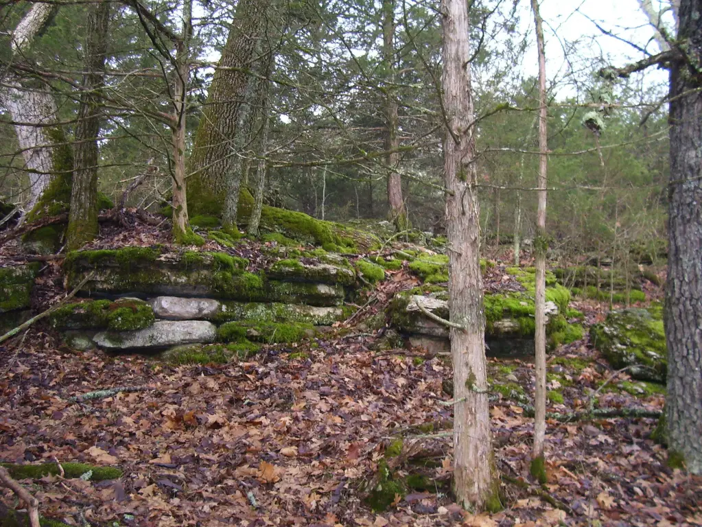 Picture 5