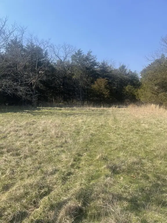 Picture 24
