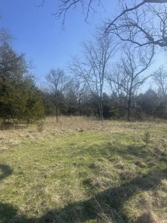 Picture 22