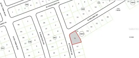 Citrus Springs Buildable Corner Lot