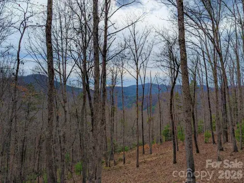 Marshall, NC Land Homesite