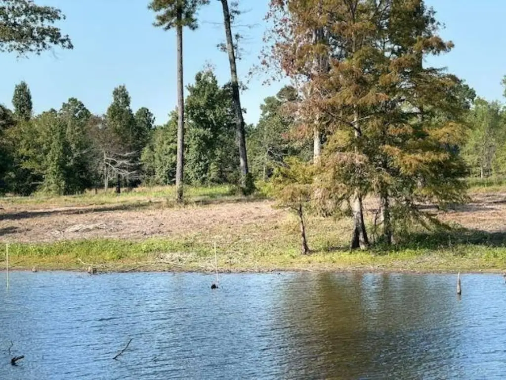 Picture 32
