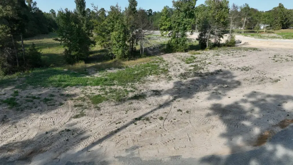 Picture 29