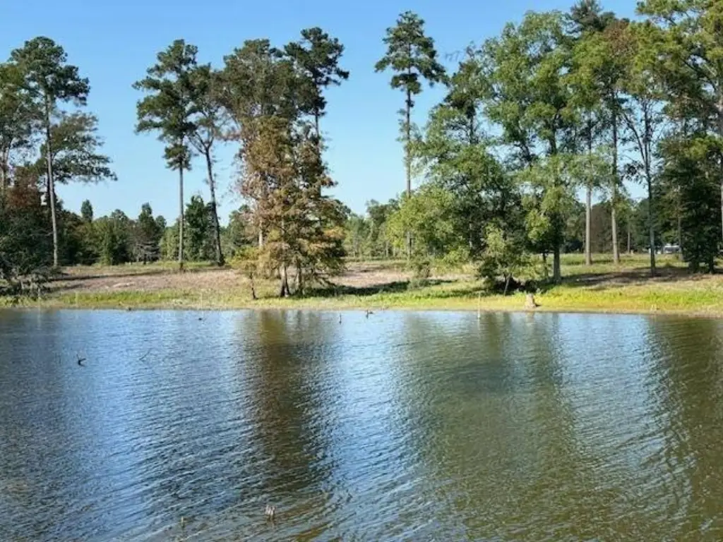 Picture 31