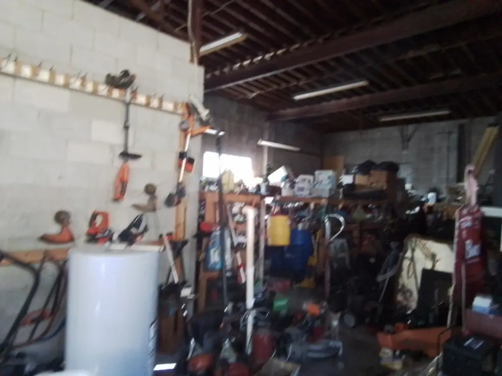 Picture 6