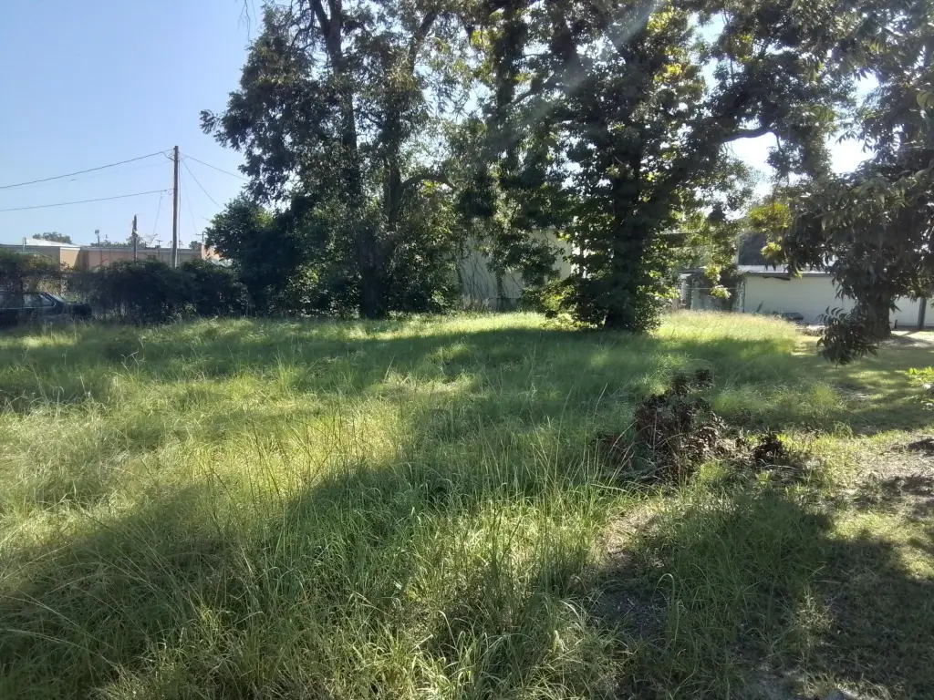 Picture 11