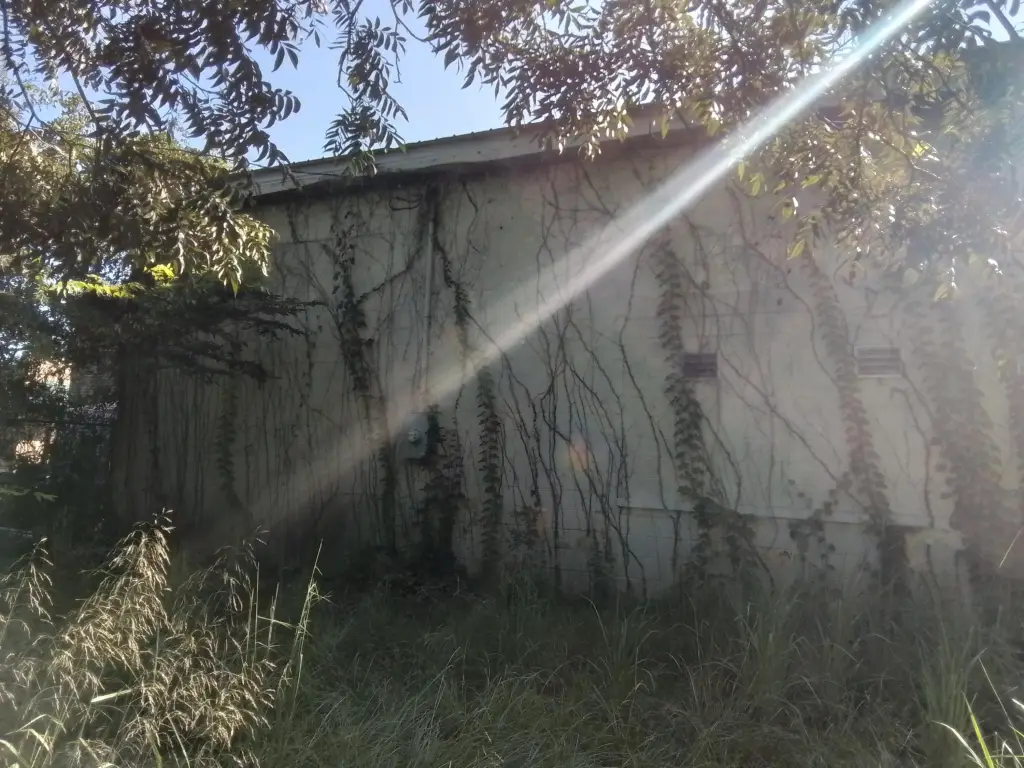 Picture 10