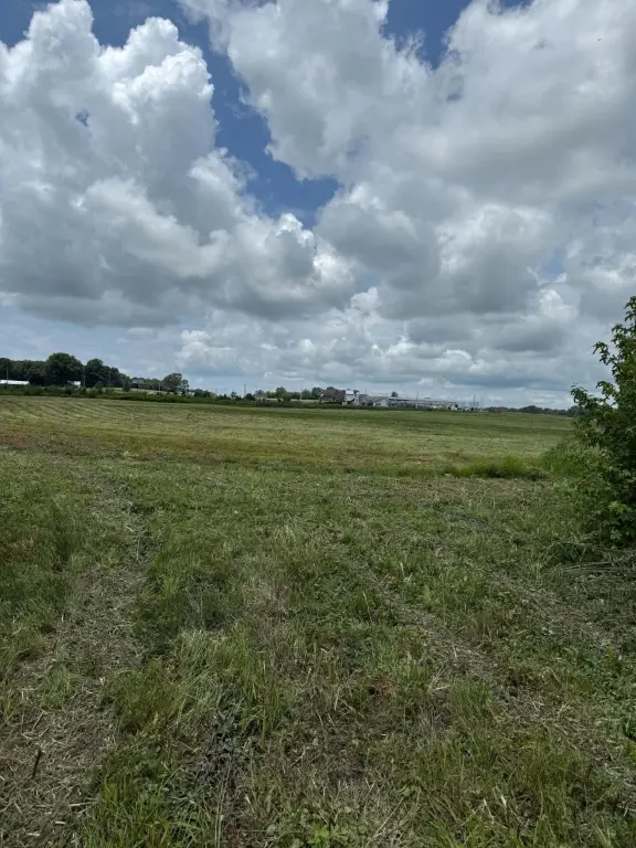 Picture 6