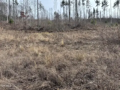 Mountain City Land For Sale