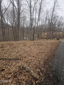 Residential Land in Bristol, TN