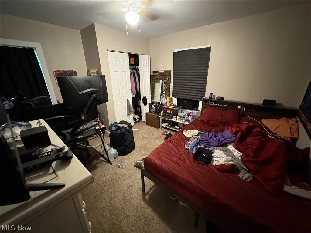 Picture 13