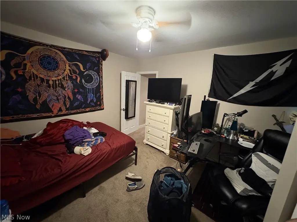 Picture 14