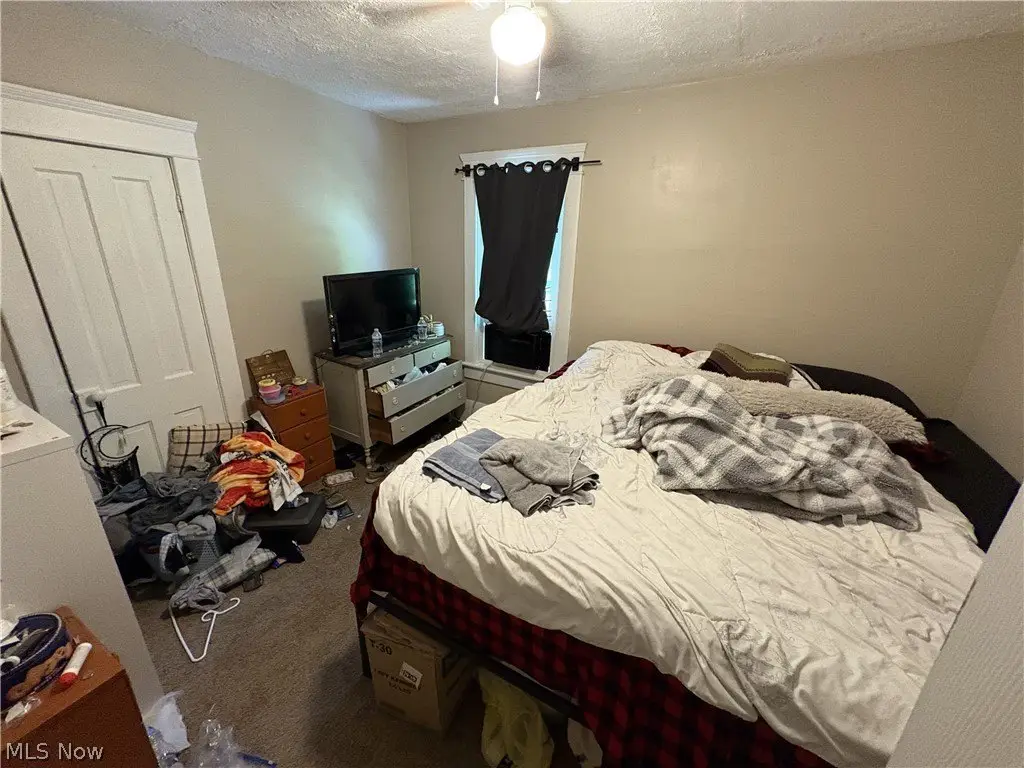 Picture 15