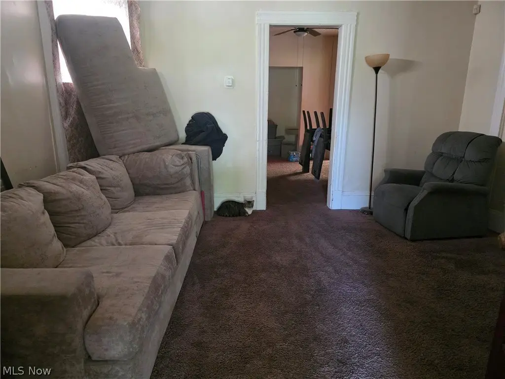 Picture 5