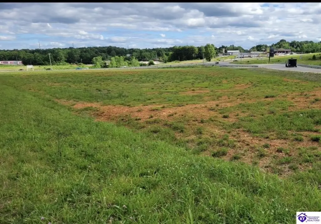 Picture 4
