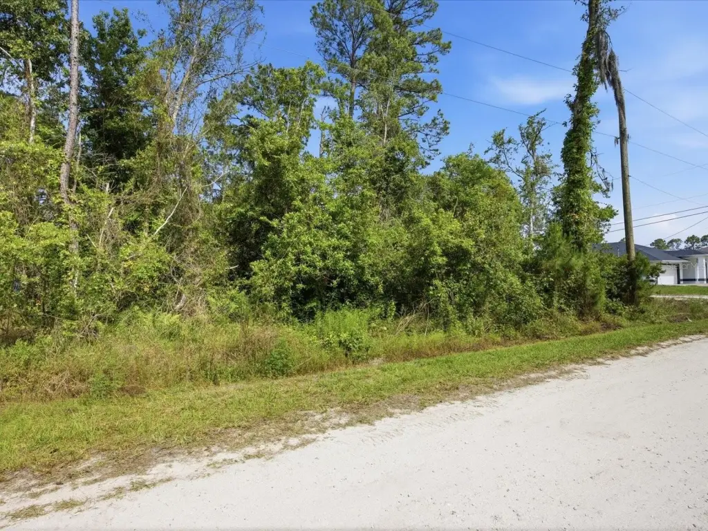 Picture 6