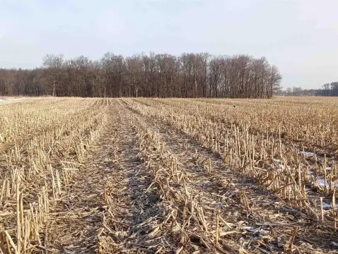 60 Acres Tillable Land