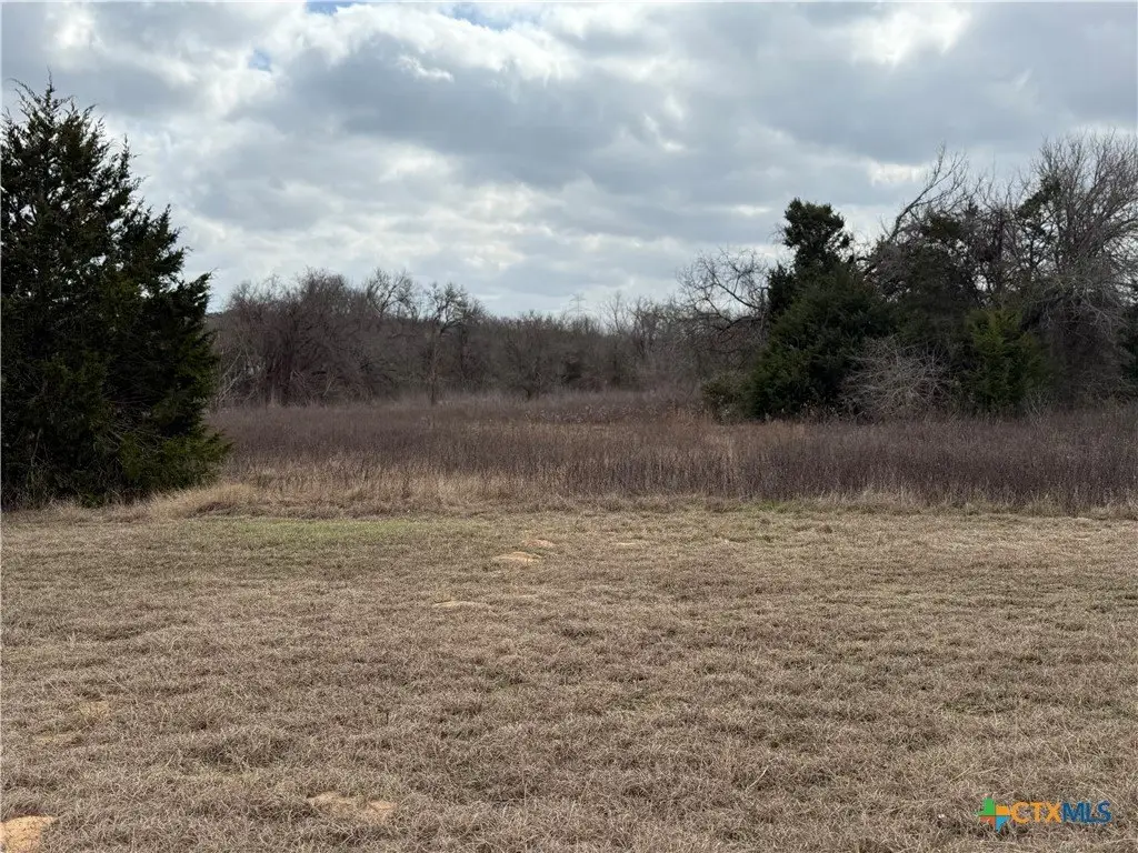 Picture 28