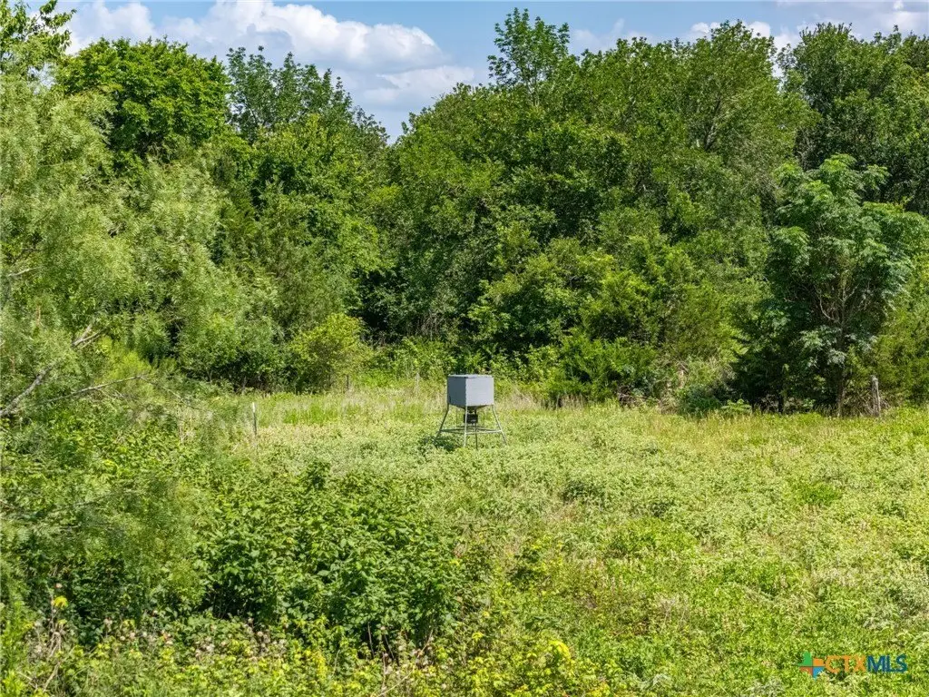 Picture 21