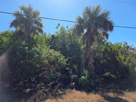 Waterfront Land in Port Charlotte