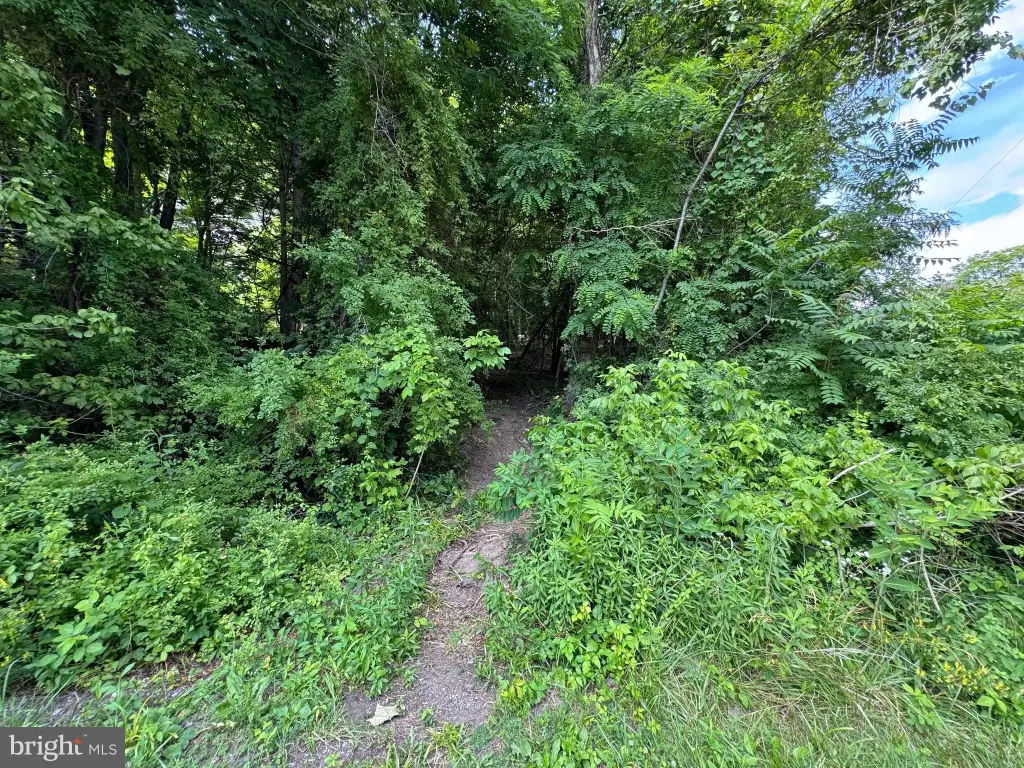 Picture 11