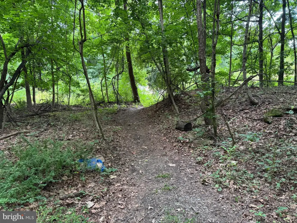 Picture 15