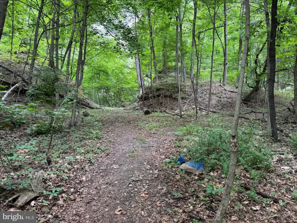 Picture 18
