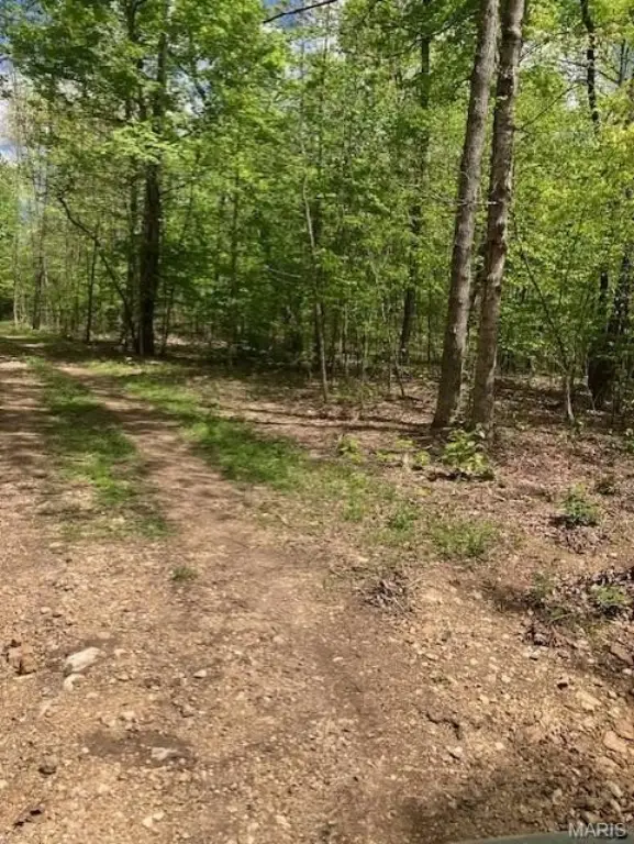 Picture 4