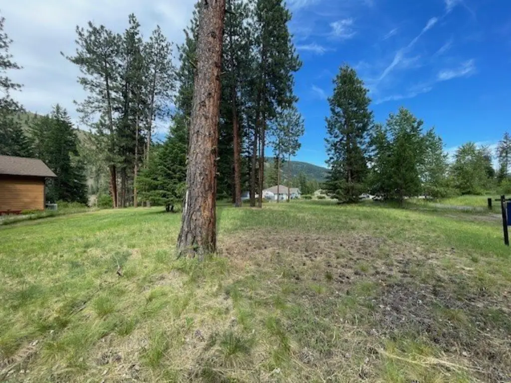 Picture 5