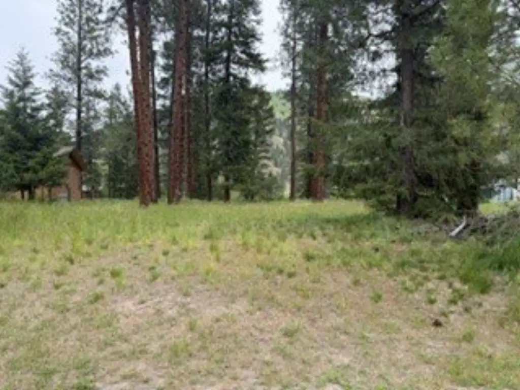Picture 9