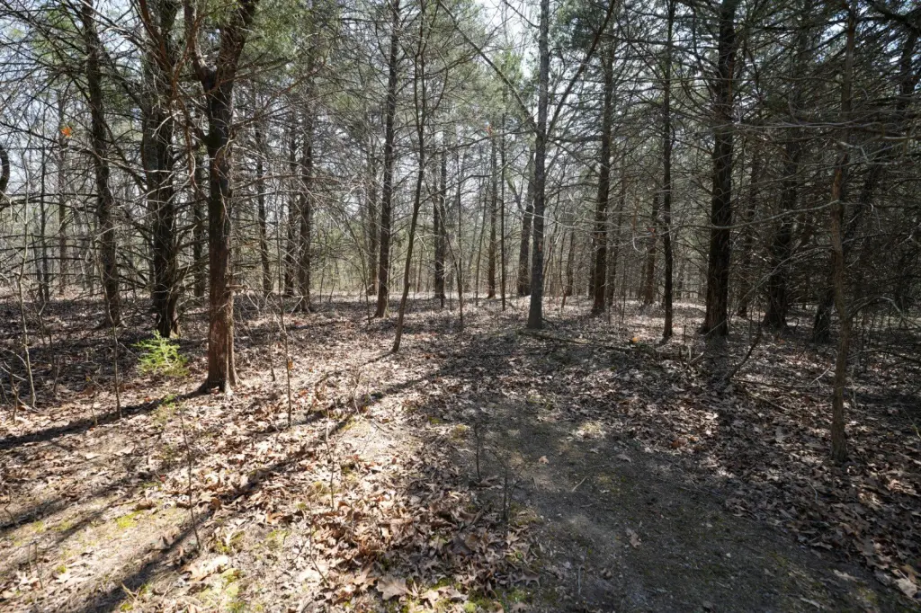 Picture 25