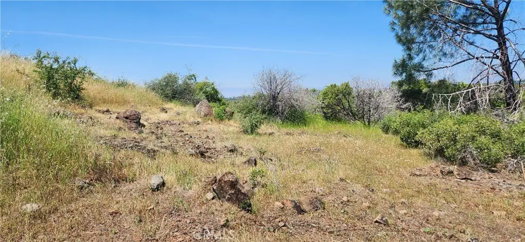 Picture 21