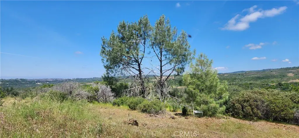 Picture 23