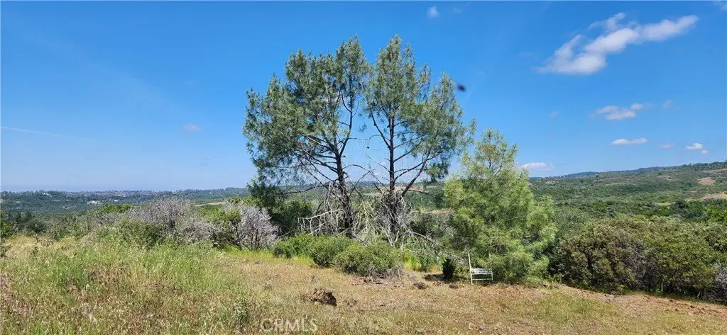 Picture 24