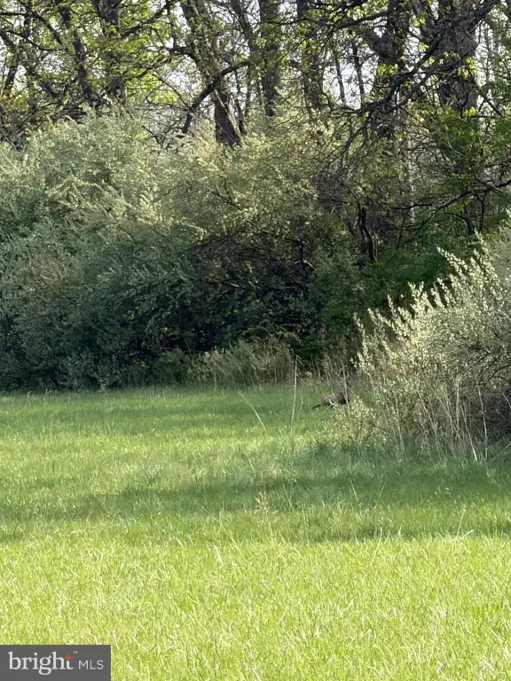 Picture 38