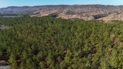 32 Acres in Lyerly, Georgia