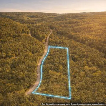 Hunting Land with Road Frontage
