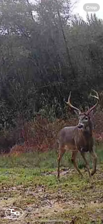Picture 42